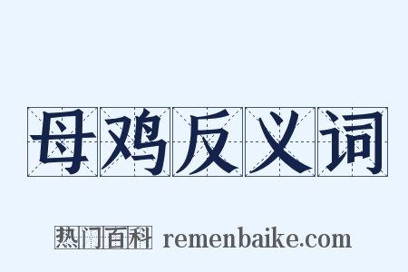母鸡反义词是什么意思的图片